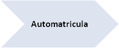 Automatricula